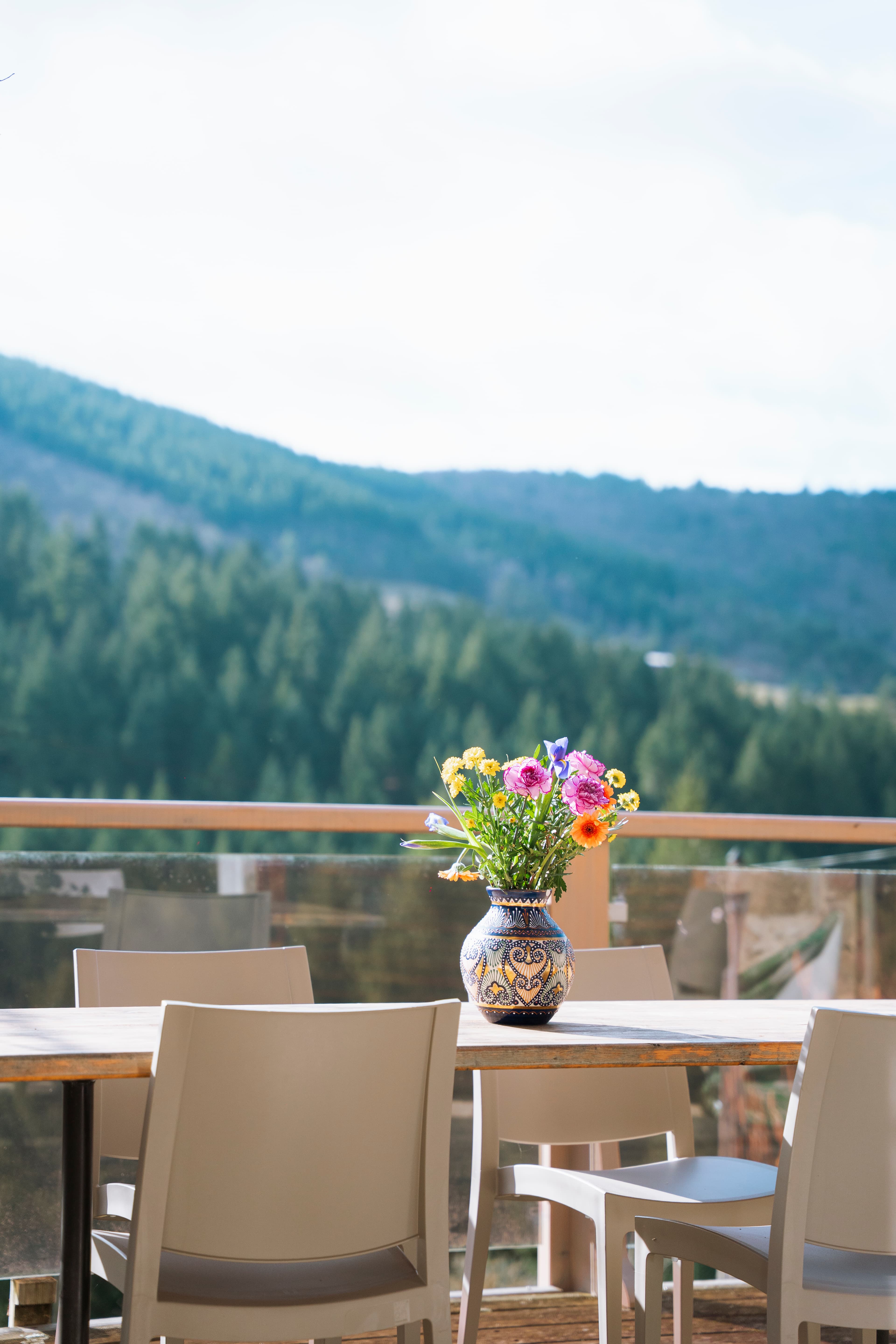 La terrasse